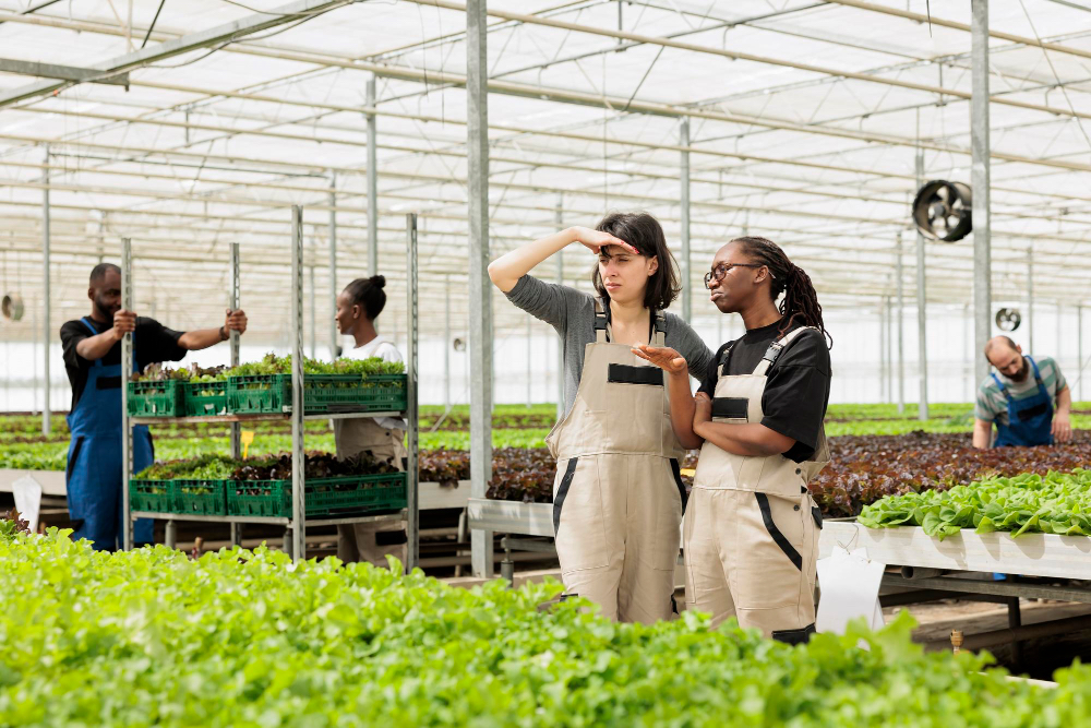 Agricultural workers in a greenhouse